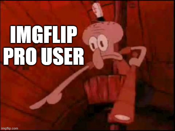 Squidward pointing | IMGFLIP PRO USER | image tagged in squidward pointing | made w/ Imgflip meme maker