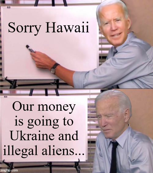 Biden sprending more tax money on foreigners... | Sorry Hawaii; Our money is going to Ukraine and illegal aliens... | image tagged in joe biden explains,america,hater | made w/ Imgflip meme maker
