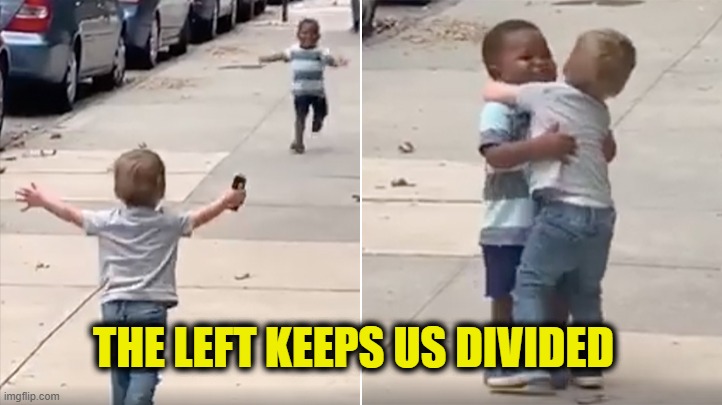 Divide & Conquer | THE LEFT KEEPS US DIVIDED | image tagged in left | made w/ Imgflip meme maker