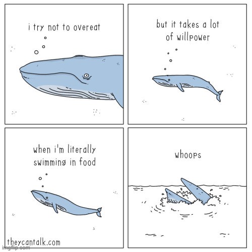 Well you shouldn't ever waste food yk | image tagged in lol,whale,eating | made w/ Imgflip meme maker