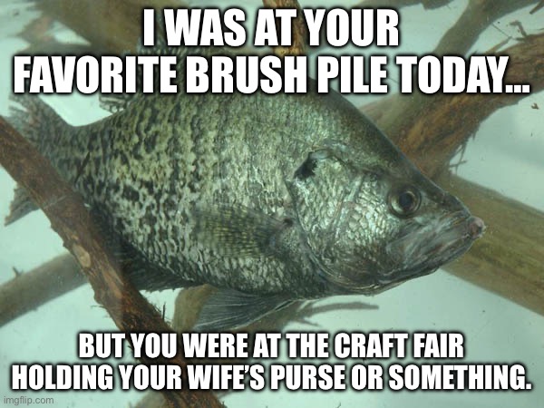 I WAS AT YOUR FAVORITE BRUSH PILE TODAY…; BUT YOU WERE AT THE CRAFT FAIR HOLDING YOUR WIFE’S PURSE OR SOMETHING. | made w/ Imgflip meme maker