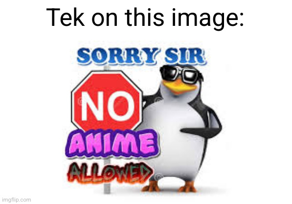 NO Anime Allowed | Tek on this image: | image tagged in no anime allowed | made w/ Imgflip meme maker