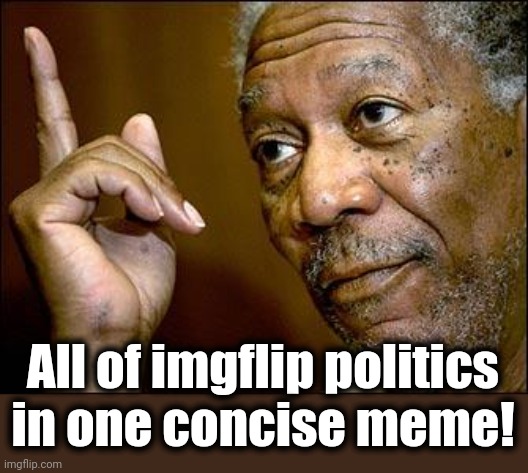 This Morgan Freeman | All of imgflip politics
in one concise meme! | image tagged in this morgan freeman | made w/ Imgflip meme maker