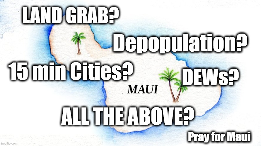 Pray For The Victims | LAND GRAB? Depopulation? 15 min Cities? DEWs? ALL THE ABOVE? Pray for Maui | image tagged in maui,maui fire,pray for maui,crimes against humanity | made w/ Imgflip meme maker