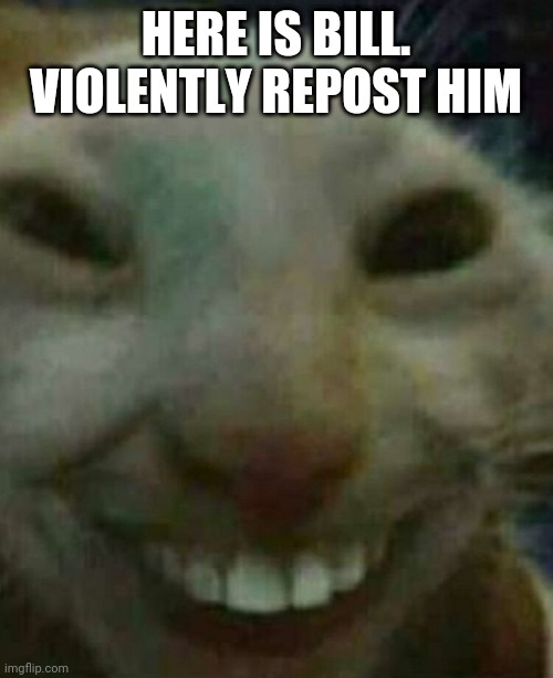 Cat smiling | HERE IS BILL. VIOLENTLY REPOST HIM | image tagged in cat smiling | made w/ Imgflip meme maker