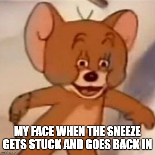 Relatable or relatable? | MY FACE WHEN THE SNEEZE GETS STUCK AND GOES BACK IN | image tagged in polish jerry,sneeze,you have been eternally cursed for reading the tags | made w/ Imgflip meme maker