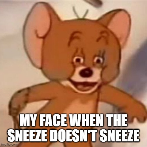 Relatable or relatable version 2 | MY FACE WHEN THE SNEEZE DOESN'T SNEEZE | image tagged in polish jerry,sneeze,you have been eternally cursed for reading the tags | made w/ Imgflip meme maker