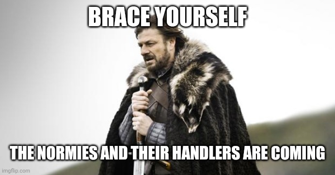 Winter Is Coming | BRACE YOURSELF; THE NORMIES AND THEIR HANDLERS ARE COMING | image tagged in winter is coming | made w/ Imgflip meme maker