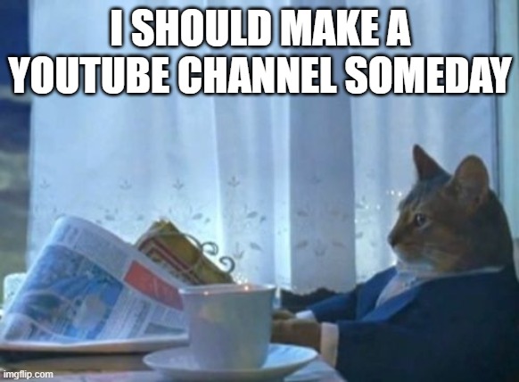 I can't guarantee it though | I SHOULD MAKE A YOUTUBE CHANNEL SOMEDAY | image tagged in memes,i should buy a boat cat | made w/ Imgflip meme maker