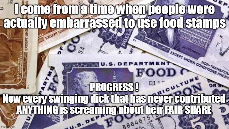 What ever happened to "Proud Americans" ? | I come from a time when people were actually embarrassed to use food stamps; PROGRESS !
Now every swinging dick that has never contributed ANYTHING is screaming about heir FAIR SHARE | image tagged in food stamp meme | made w/ Imgflip meme maker