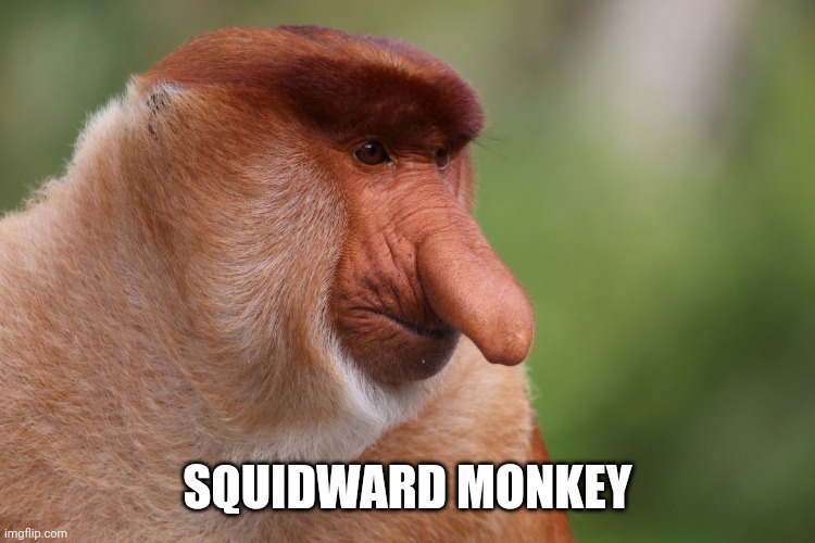 Squidward Monkey.mp3 | SQUIDWARD MONKEY | image tagged in big nose monkey | made w/ Imgflip meme maker