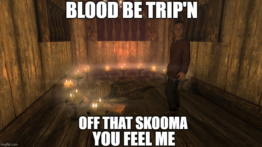Skooma Time | BLOOD BE TRIP'N; OFF THAT SKOOMA; YOU FEEL ME | image tagged in skyrim | made w/ Imgflip meme maker