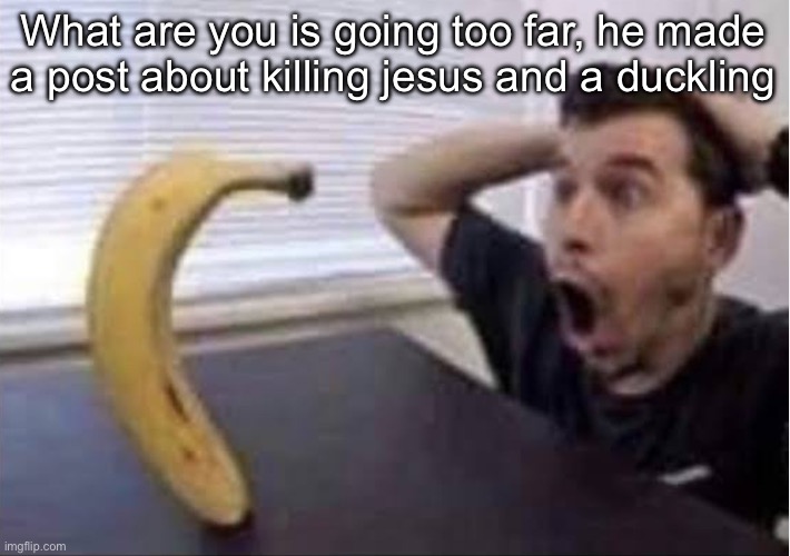 banana standing up | What are you is going too far, he made a post about killing jesus and a duckling | image tagged in banana standing up | made w/ Imgflip meme maker