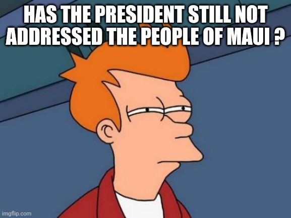 Futurama Fry Meme | HAS THE PRESIDENT STILL NOT ADDRESSED THE PEOPLE OF MAUI ? | image tagged in memes,futurama fry | made w/ Imgflip meme maker