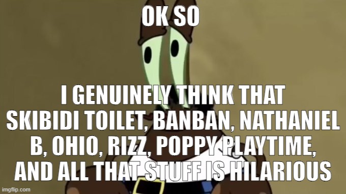 me | OK SO; I GENUINELY THINK THAT SKIBIDI TOILET, BANBAN, NATHANIEL B, OHIO, RIZZ, POPPY PLAYTIME, AND ALL THAT STUFF IS HILARIOUS | image tagged in me | made w/ Imgflip meme maker