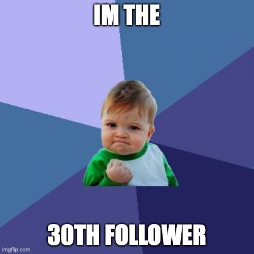 In the stream | IM THE; 30TH FOLLOWER | image tagged in memes,success kid | made w/ Imgflip meme maker