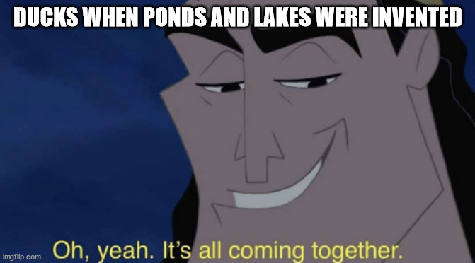 It's all coming together | DUCKS WHEN PONDS AND LAKES WERE INVENTED | image tagged in it's all coming together | made w/ Imgflip meme maker