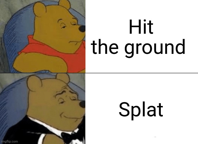 Splat, rather than hit the ground | Hit the ground; Splat | image tagged in memes,tuxedo winnie the pooh | made w/ Imgflip meme maker