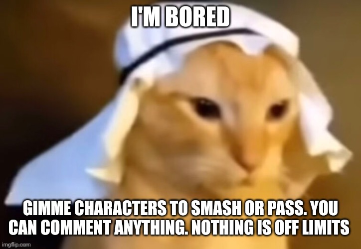 haram cat | I'M BORED; GIMME CHARACTERS TO SMASH OR PASS. YOU CAN COMMENT ANYTHING. NOTHING IS OFF LIMITS | image tagged in haram cat | made w/ Imgflip meme maker