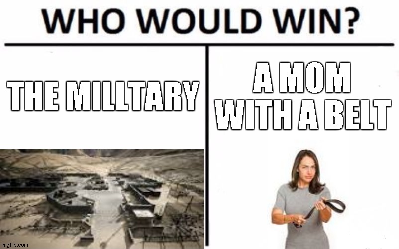 e | A MOM WITH A BELT; THE MILLTARY | image tagged in memes,who would win | made w/ Imgflip meme maker