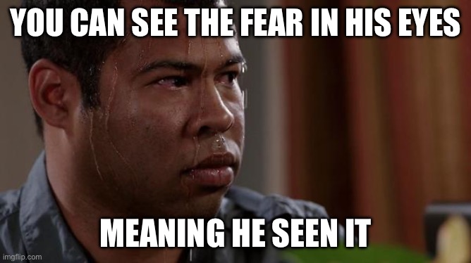 sweating bullets | YOU CAN SEE THE FEAR IN HIS EYES MEANING HE SEEN IT | image tagged in sweating bullets | made w/ Imgflip meme maker