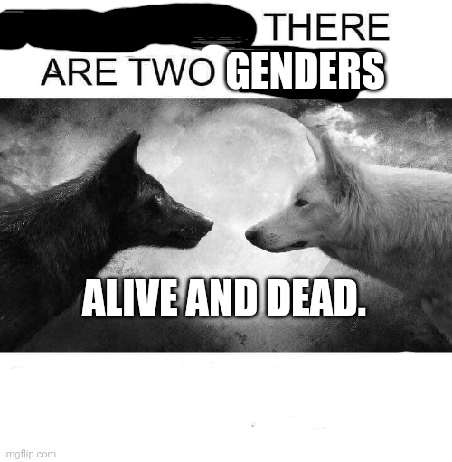 Someone is going to cancel me for this and it'll be a dua lipa stan, they've been hunting me for months! | GENDERS; ALIVE AND DEAD. | image tagged in inside you there are two wolves,pls don't cancel meh,/j,another dank freecrayfish meme | made w/ Imgflip meme maker