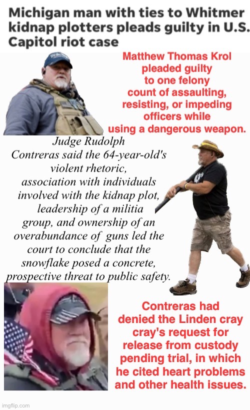 The MTK Traitor | image tagged in domestic terrorists,safety in numbers,loser,bmi,treason,assault | made w/ Imgflip meme maker