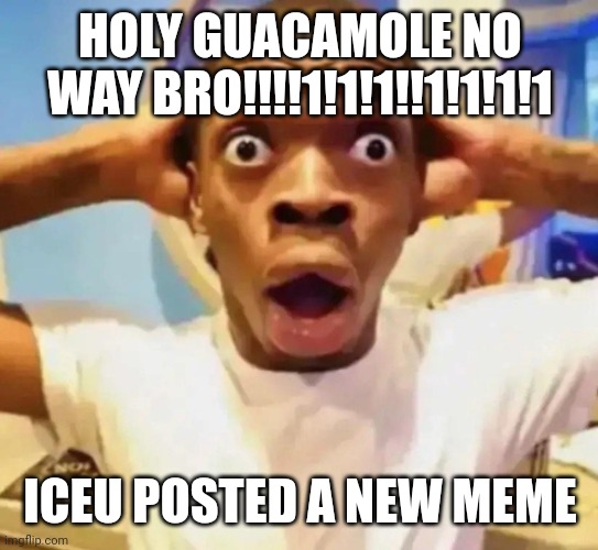 Shocked black guy grabbing head | HOLY GUACAMOLE NO WAY BRO!!!!1!1!1!!1!1!1!1 ICEU POSTED A NEW MEME | image tagged in shocked black guy grabbing head | made w/ Imgflip meme maker
