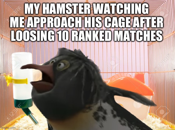 “I’m sorry, little one” | MY HAMSTER WATCHING ME APPROACH HIS CAGE AFTER LOOSING 10 RANKED MATCHES | image tagged in gaming,ranked,hamster | made w/ Imgflip meme maker