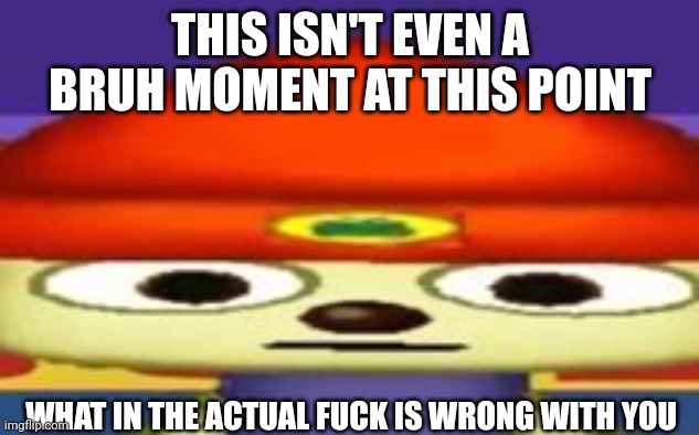 Unsettled Parappa | THIS ISN'T EVEN A BRUH MOMENT AT THIS POINT WHAT IN THE ACTUAL FUCK IS WRONG WITH YOU | image tagged in unsettled parappa | made w/ Imgflip meme maker
