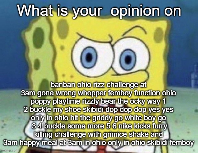 confused spongebob | What is your  opinion on; banban ohio rizz challenge at 3am gone wrong whopper femboy function ohio poppy playtime rizzly bear the ocky way 1 2 buckle my shoe skibidi dop dop dop yes yes only in ohio hit the griddy go white boy go  3 4 buckle some more 5 6 nike kicks furry killing challenge with grimice shake and 3am happy meal at 3am in ohio only in ohio skibidi femboy | image tagged in confused spongebob | made w/ Imgflip meme maker