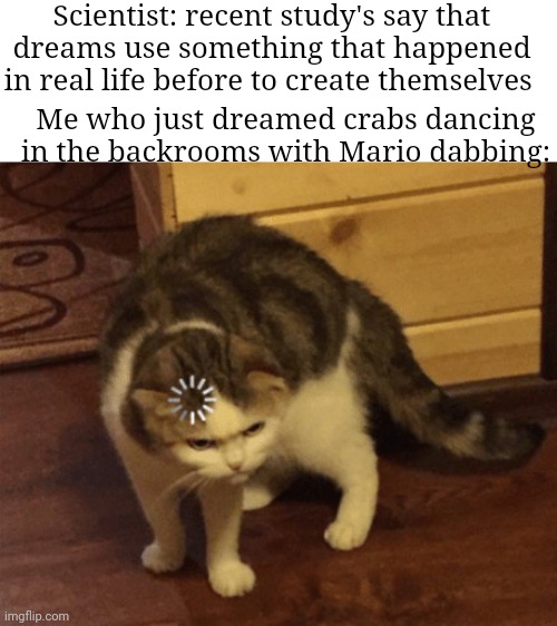 When did THOSE events happen?... | Scientist: recent study's say that dreams use something that happened in real life before to create themselves; Me who just dreamed crabs dancing in the backrooms with Mario dabbing: | image tagged in lag cat,memes,dreams,backrooms,relatable,front page plz | made w/ Imgflip meme maker