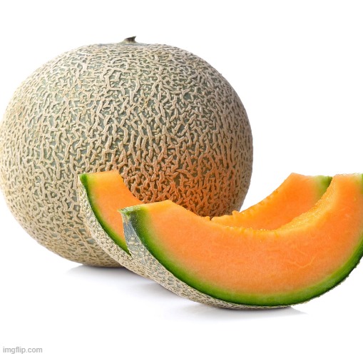Cantelope. | image tagged in cantelope | made w/ Imgflip meme maker