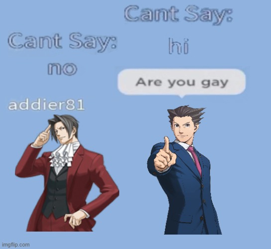 Wrightworth Canon | image tagged in can't say no to gays | made w/ Imgflip meme maker