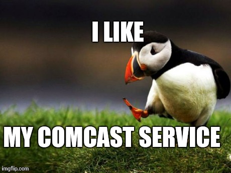 Unpopular Opinion Puffin | MY COMCAST SERVICE I LIKE | image tagged in memes,unpopular opinion puffin,AdviceAnimals | made w/ Imgflip meme maker