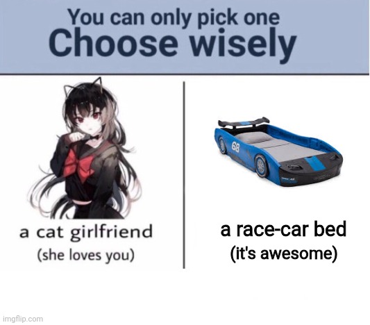 Choose wisely | a race-car bed; (it's awesome) | image tagged in choose wisely,racecar,racecar bed | made w/ Imgflip meme maker