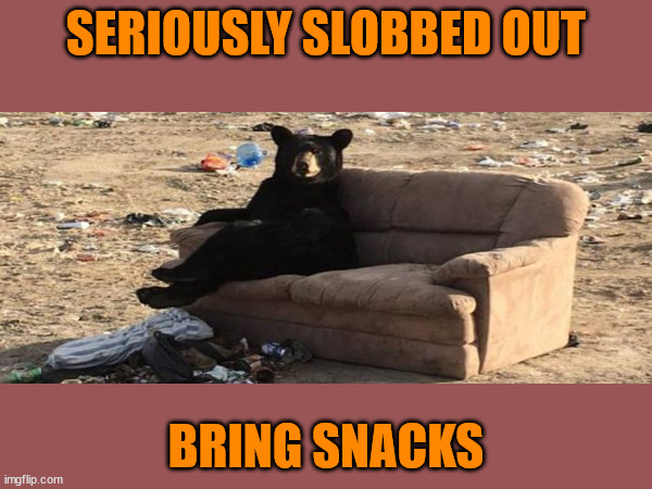 Bear Needs Snacks | SERIOUSLY SLOBBED OUT; BRING SNACKS | image tagged in bear,couch,couch potato,snacks | made w/ Imgflip meme maker
