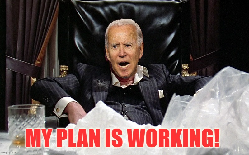As Long As He Stays Hidden And On Vacation | MY PLAN IS WORKING! | image tagged in memes,joe biden,hidden,vacation,plan,working | made w/ Imgflip meme maker