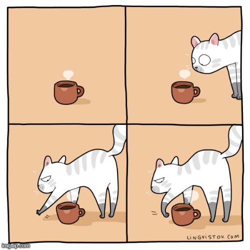 A Cat's Way Of Thinking | image tagged in memes,comics/cartoons,cats,what is this,buried,until we meet again | made w/ Imgflip meme maker