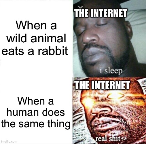 Both are natural | When a wild animal eats a rabbit; THE INTERNET; THE INTERNET; When a human does the same thing | image tagged in memes,sleeping shaq,rabbits | made w/ Imgflip meme maker