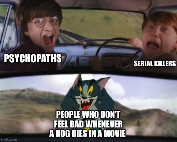 Tpm chasing harry and ron weasley | PSYCHOPATHS; SERIAL KILLERS; PEOPLE WHO DON’T FEEL BAD WHENEVER A DOG DIES IN A MOVIE | image tagged in tom chasing harry and ron weasly | made w/ Imgflip meme maker