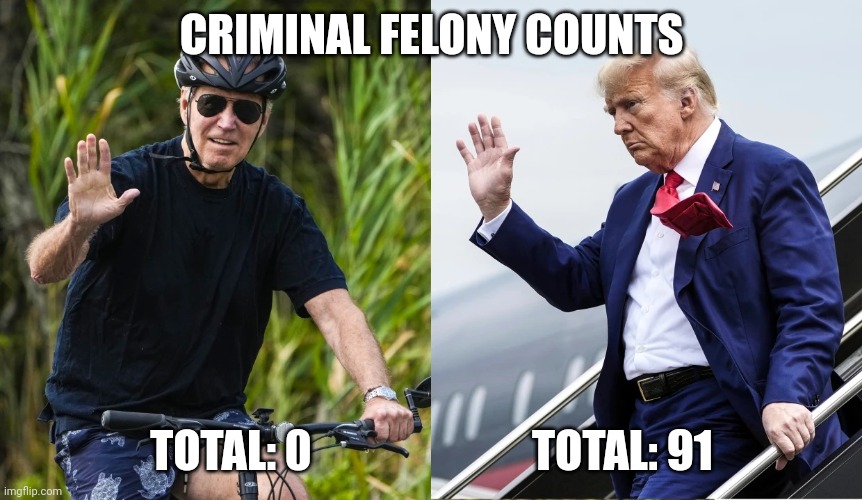 Joe Biden | CRIMINAL FELONY COUNTS; TOTAL: 0                         TOTAL: 91 | image tagged in impeached,peckerwood-trash | made w/ Imgflip meme maker