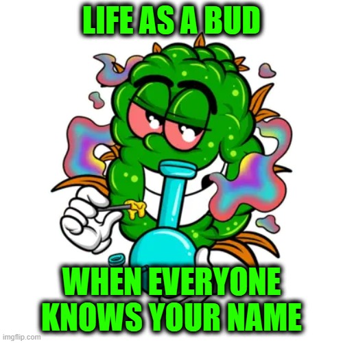 when everyone knows you | LIFE AS A BUD; WHEN EVERYONE KNOWS YOUR NAME | image tagged in funny memes | made w/ Imgflip meme maker