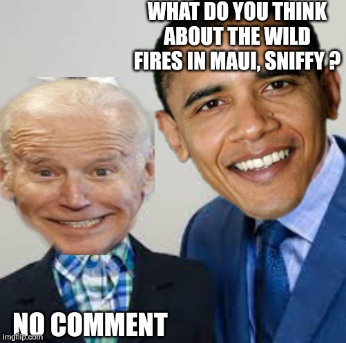 Ventriloquist | WHAT DO YOU THINK ABOUT THE WILD FIRES IN MAUI, SNIFFY ? NO COMMENT | image tagged in ventriloquist | made w/ Imgflip meme maker