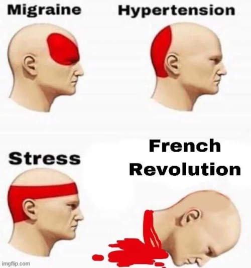 Vive La France | image tagged in french revolution | made w/ Imgflip meme maker