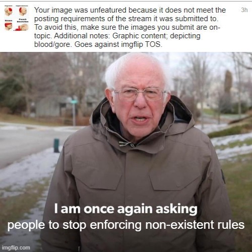 https://imgflip.com/terms - Don't Enforce Rules That Don't Exist | people to stop enforcing non-existent rules | image tagged in memes,bernie i am once again asking for your support | made w/ Imgflip meme maker