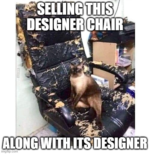 Bad Cat | SELLING THIS DESIGNER CHAIR; ALONG WITH ITS DESIGNER | image tagged in funny cat | made w/ Imgflip meme maker