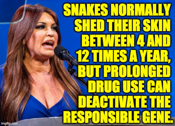 The more you know... | image tagged in memes,snakes,the more you know | made w/ Imgflip meme maker