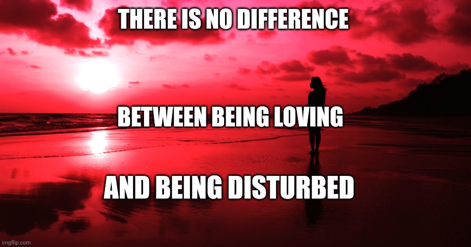 Disturbed Devotion | THERE IS NO DIFFERENCE; BETWEEN BEING LOVING; AND BEING DISTURBED | image tagged in disturbed,love,i love you,philosophy,purpose | made w/ Imgflip meme maker