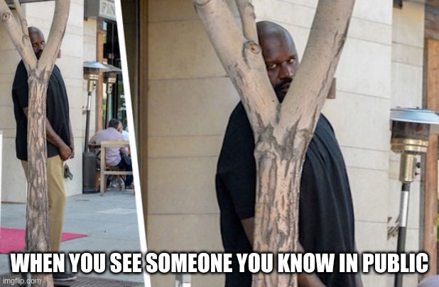 i check for anyone i know | WHEN YOU SEE SOMEONE YOU KNOW IN PUBLIC | image tagged in shaq hiding,funny,memes,relatable,public | made w/ Imgflip meme maker
